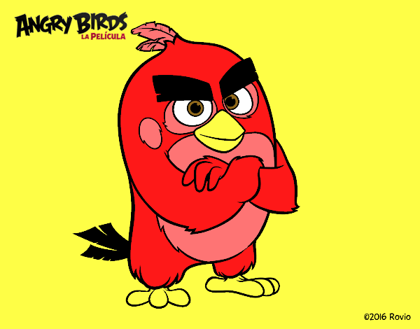 Red de Angry Birds