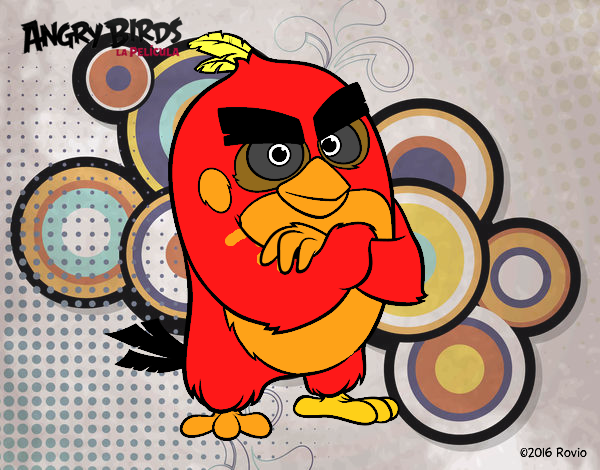 Red de Angry Birds