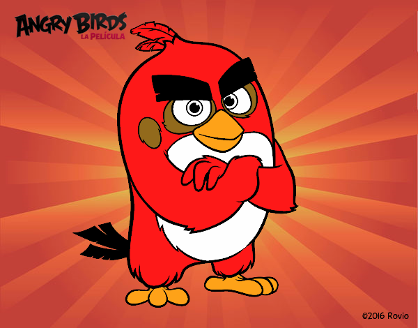 Red de Angry Birds