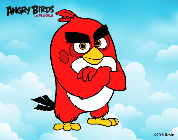 Red de Angry Birds