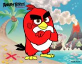 Red de Angry Birds