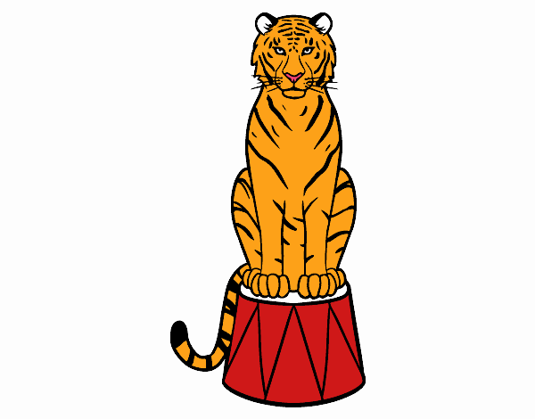 Tigre de circo