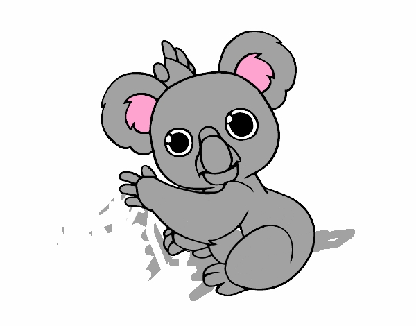 Un Koala