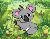 Un Koala