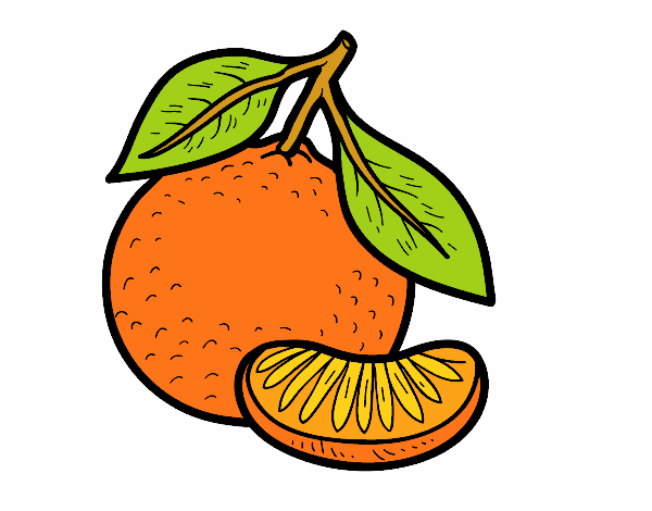 Dibujo Una mandarina pintado por luciboom20