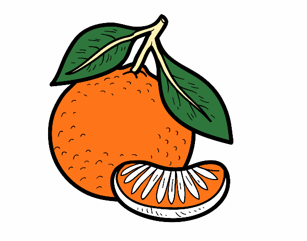 Dibujo Una mandarina pintado por R2016
