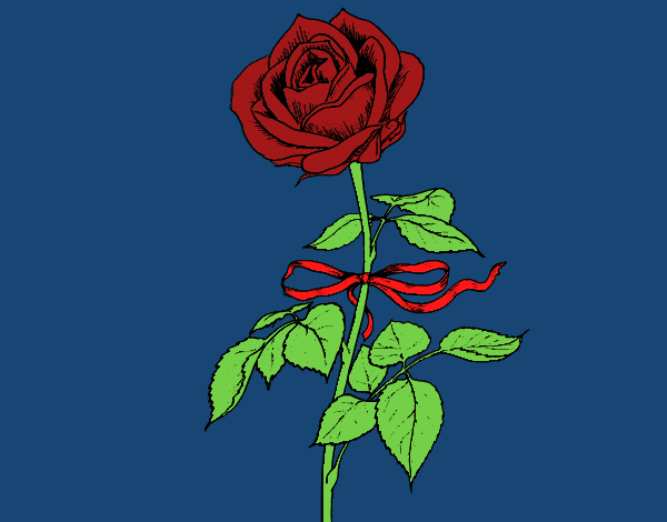 Una rosa