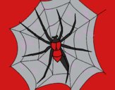 Araña