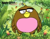 Bomb de Angry Birds