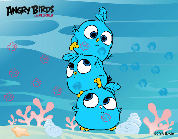 las crias de angry birds