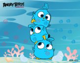 Las crias de Angry Birds