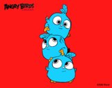 Las crias de Angry Birds