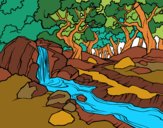 Dibujo Paisaje de bosque con un río pintado por viickii
