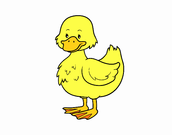 Patito de granja