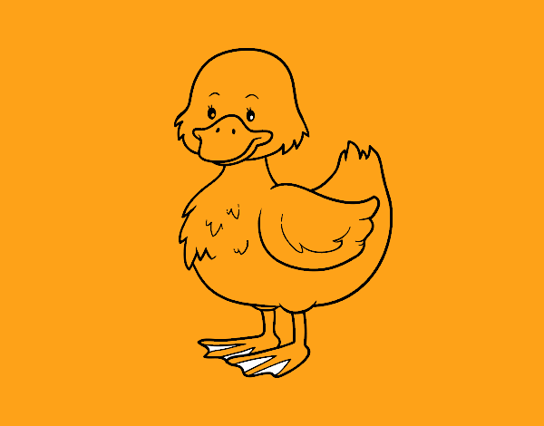 Patito de granja