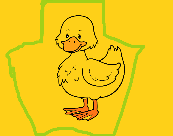 Patito de granja