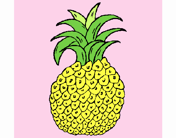 Piña