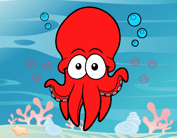 Pulpo rojo