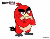 Red de Angry Birds