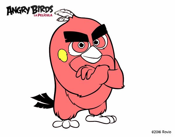 Red de Angry Birds