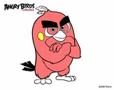 Red de Angry Birds