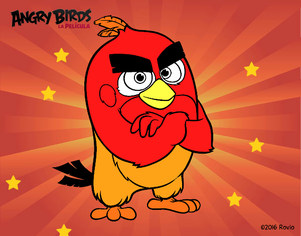 Red de Angry Birds