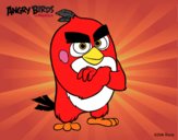 Red de Angry Birds