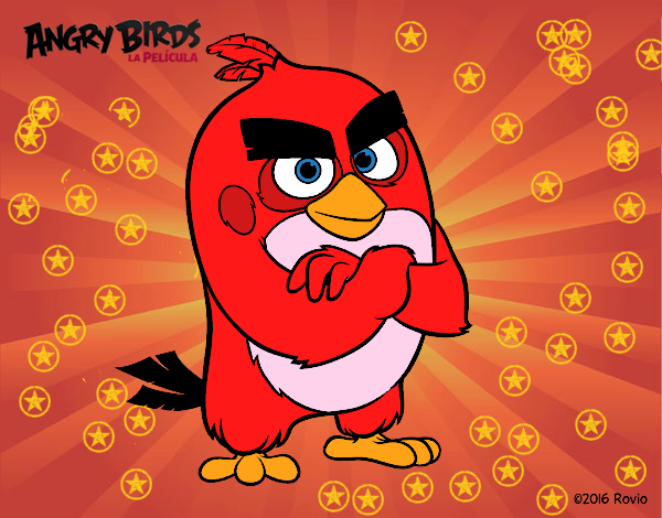 Red de Angry Birds