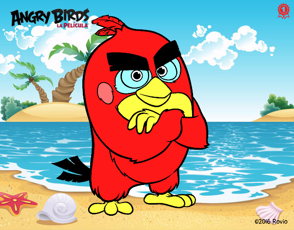 Red de Angry Birds