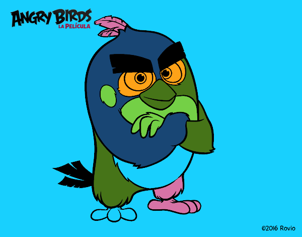 Red de Angry Birds