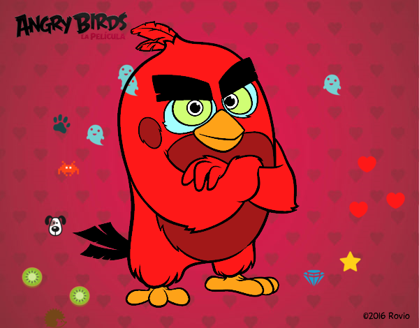 Red de Angry Birds