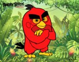 Red de Angry Birds