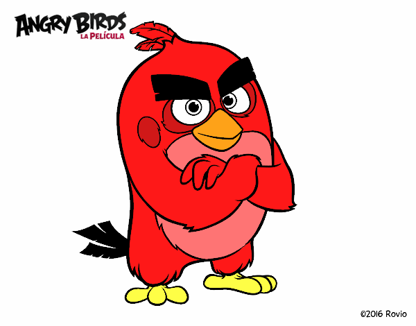 Red de Angry Birds