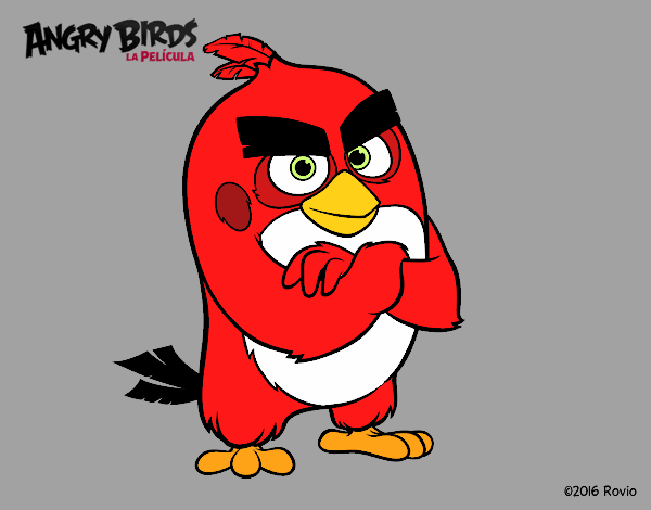 Red de Angry Birds