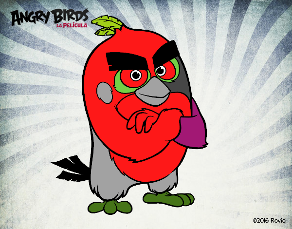 Red de Angry Birds