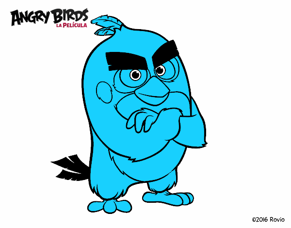 Red de Angry Birds