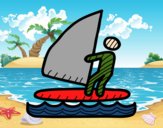Señal de windsurf