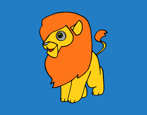 Un león