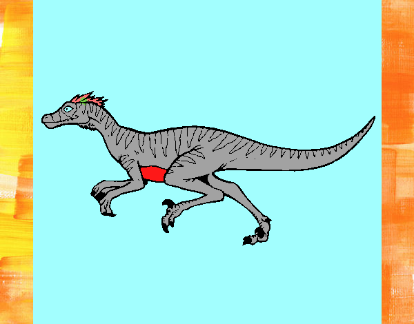 Velociraptor