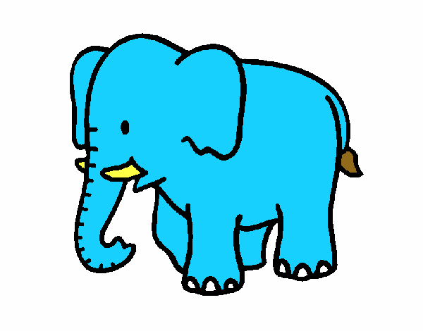 Elefante bebe