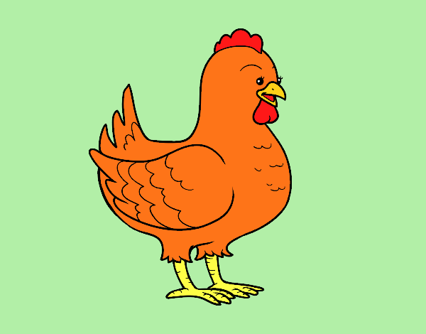 Gallina de una granja