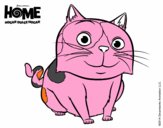 Home - Pig