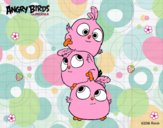 Las crias de Angry Birds