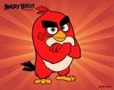 Red de Angry Birds