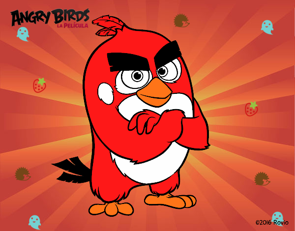 Red de Angry Birds