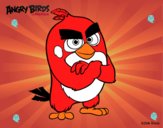 Red de Angry Birds