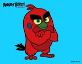 Red de Angry Birds