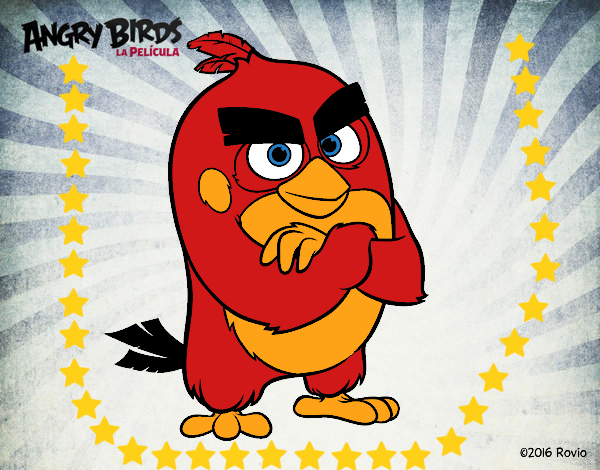 Red de Angry Birds