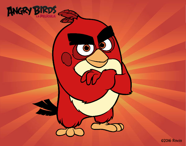 Red de Angry Birds