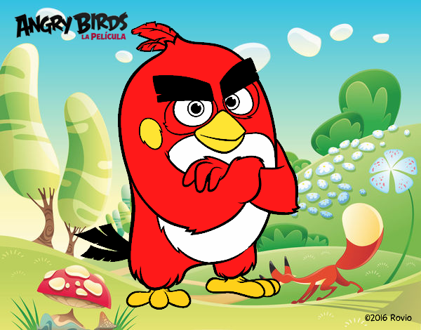 Red de Angry Birds